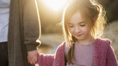 Insight Into Family Law: Understanding Legal Rights, Child Custody, And Marital Agreements