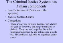 Criminal Justice System: Components, Goals, And Roles