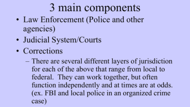 Criminal Justice System: Components, Goals, And Roles